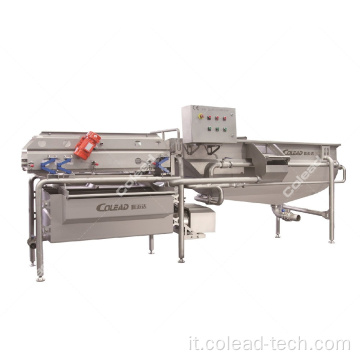 Lavatrice di germogli di fagioli/macchina di lavorazione vegetale